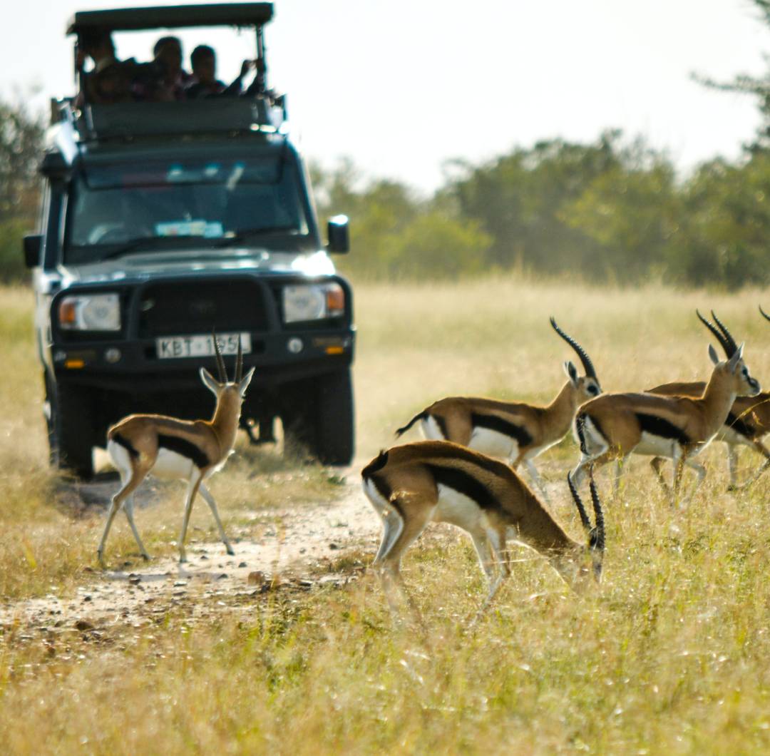 Custom-Travel-Planner-Network-1-Kenya-Maasai-Mara-Safari