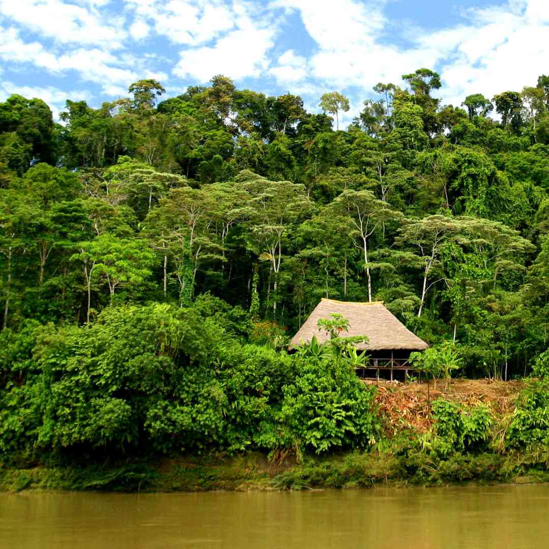 Custom-Travel-Planner-Network-4-SM-Ecuador-Amazon
