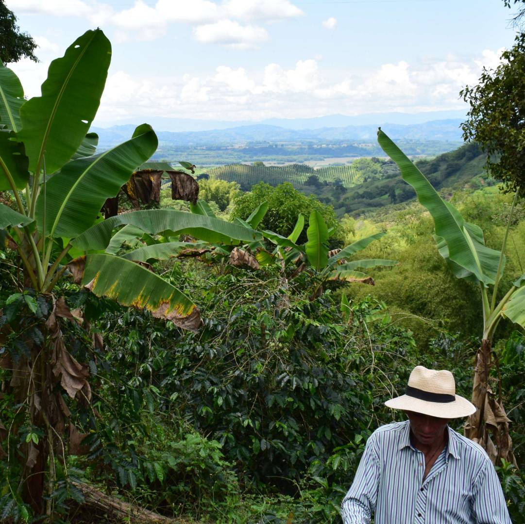 Custom-Travel-Planner-Network-1-Colombia-Coffee-Farm