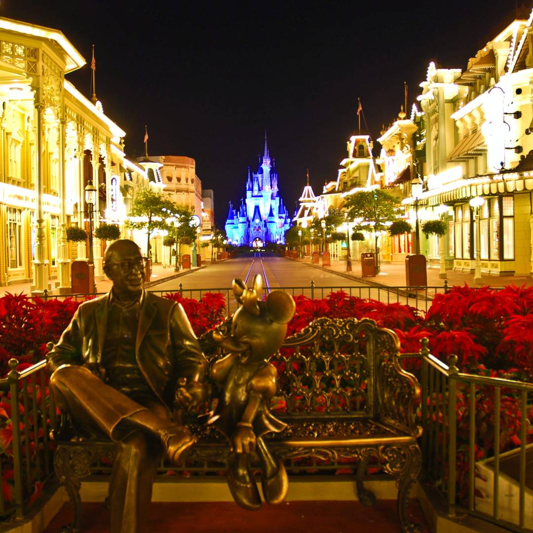 Custom-Travel-Planner-Network-1-Disney-Magic-Kingdom