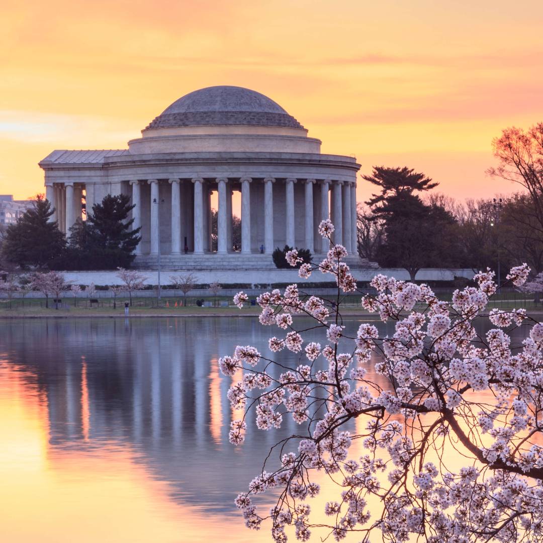 Custom-Travel-Planner-Network-4-Washington-DC-Jefferson-Cherry-Blossoms