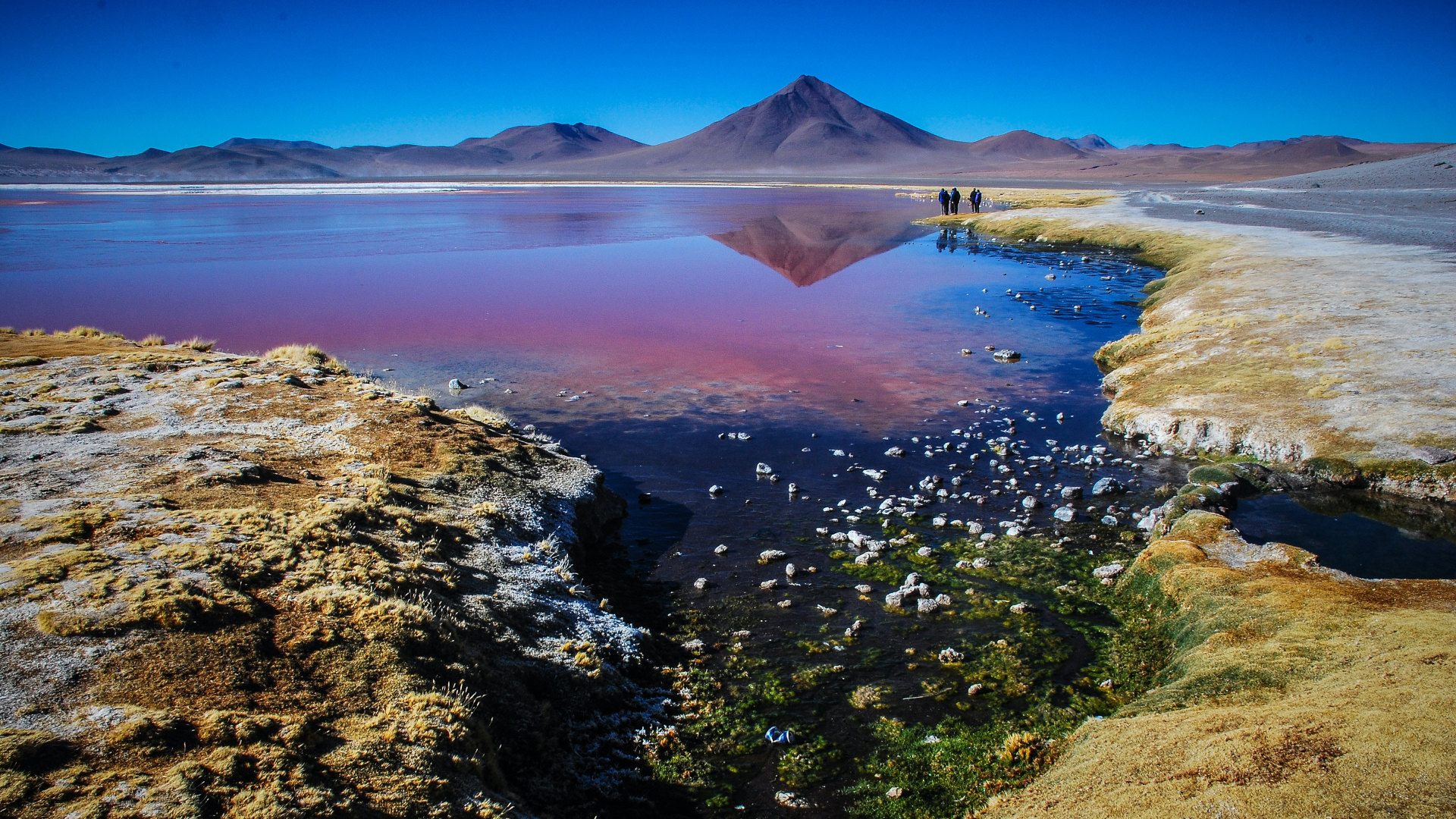 Custom Travel Planner Network-Bolivia-Altiplano