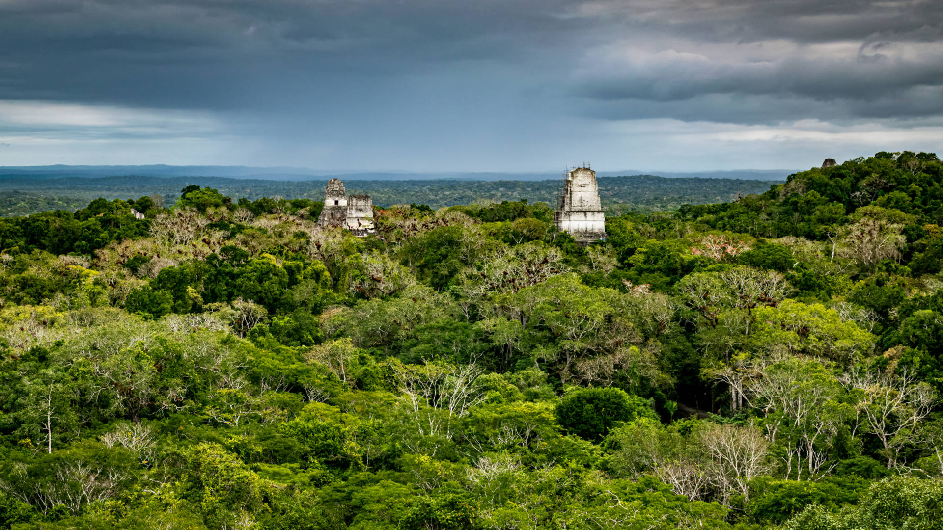 Custom Travel Planner Network-Guatemala-Tikal in Jungle