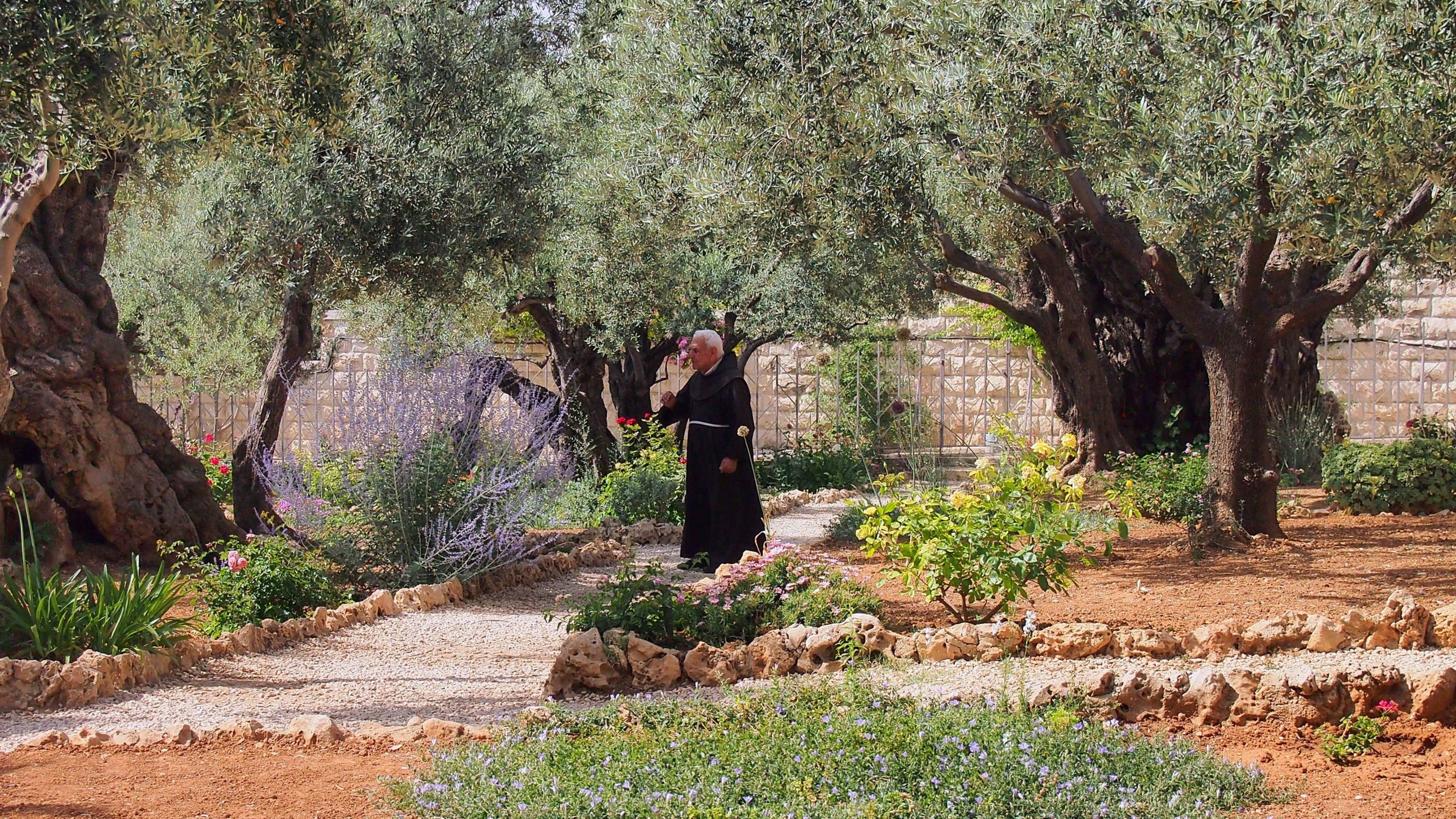 Custom Travel Planner Network-Israel-Gethsemane