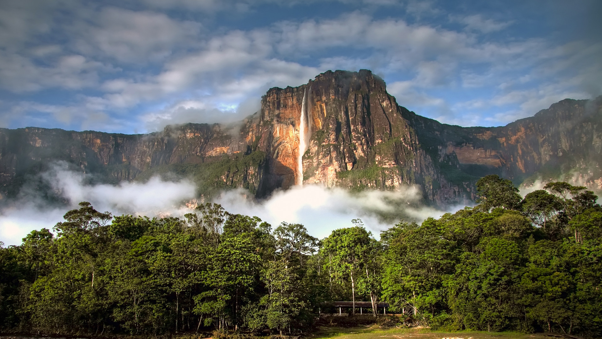 Custom Travel Planner Network-Venezuela-Angel Falls