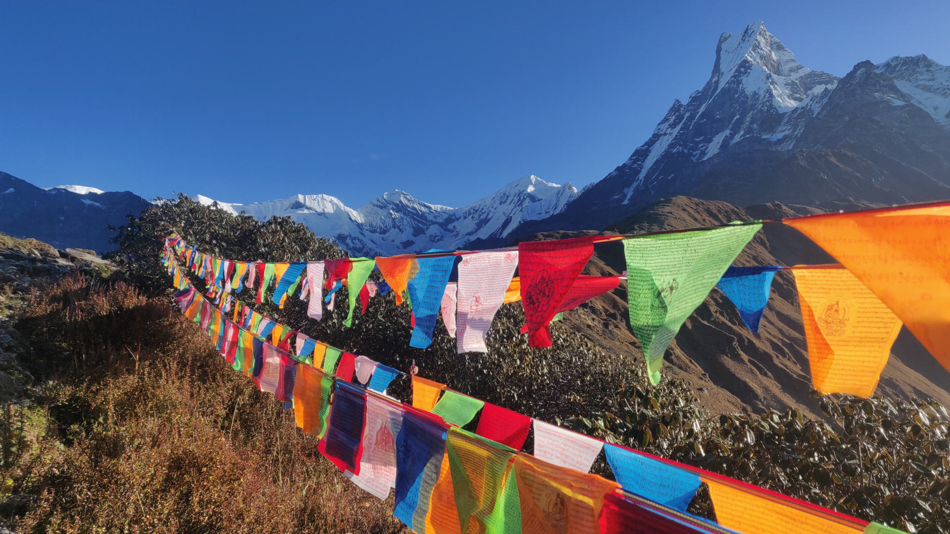 Custom Travel Planner Network-Nepal-Mardi Himal Base Camp-Prayer Flags
