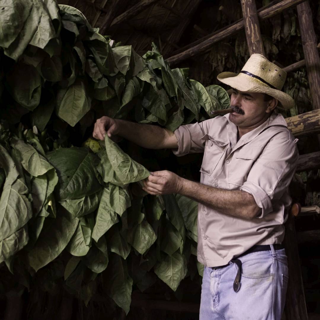 Custom-Travel-Planner-Network-1-Cuba-Tobacco-Farmer-