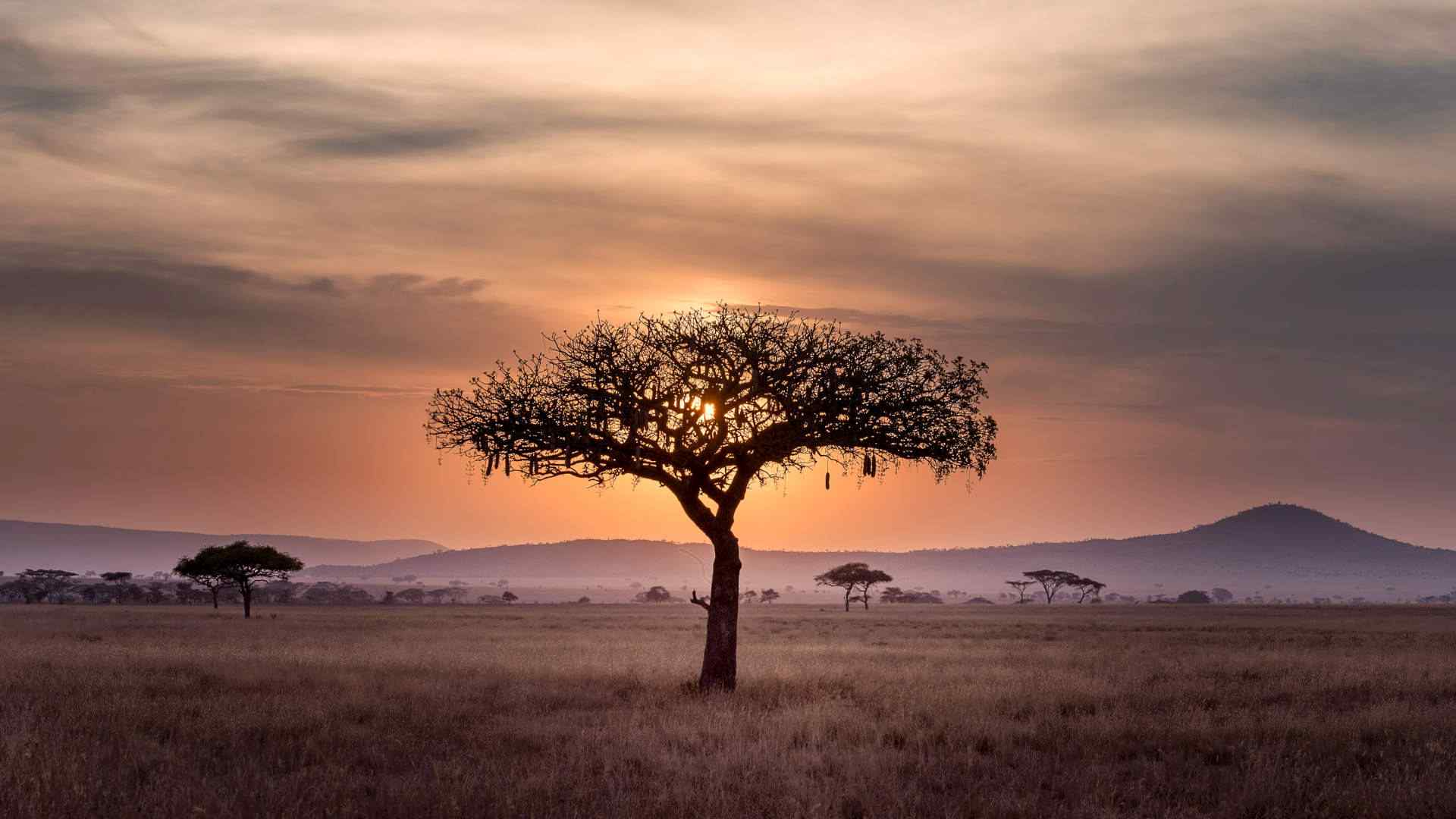 Custom-Travel-Planner-Network-Tanzania-Serengeti