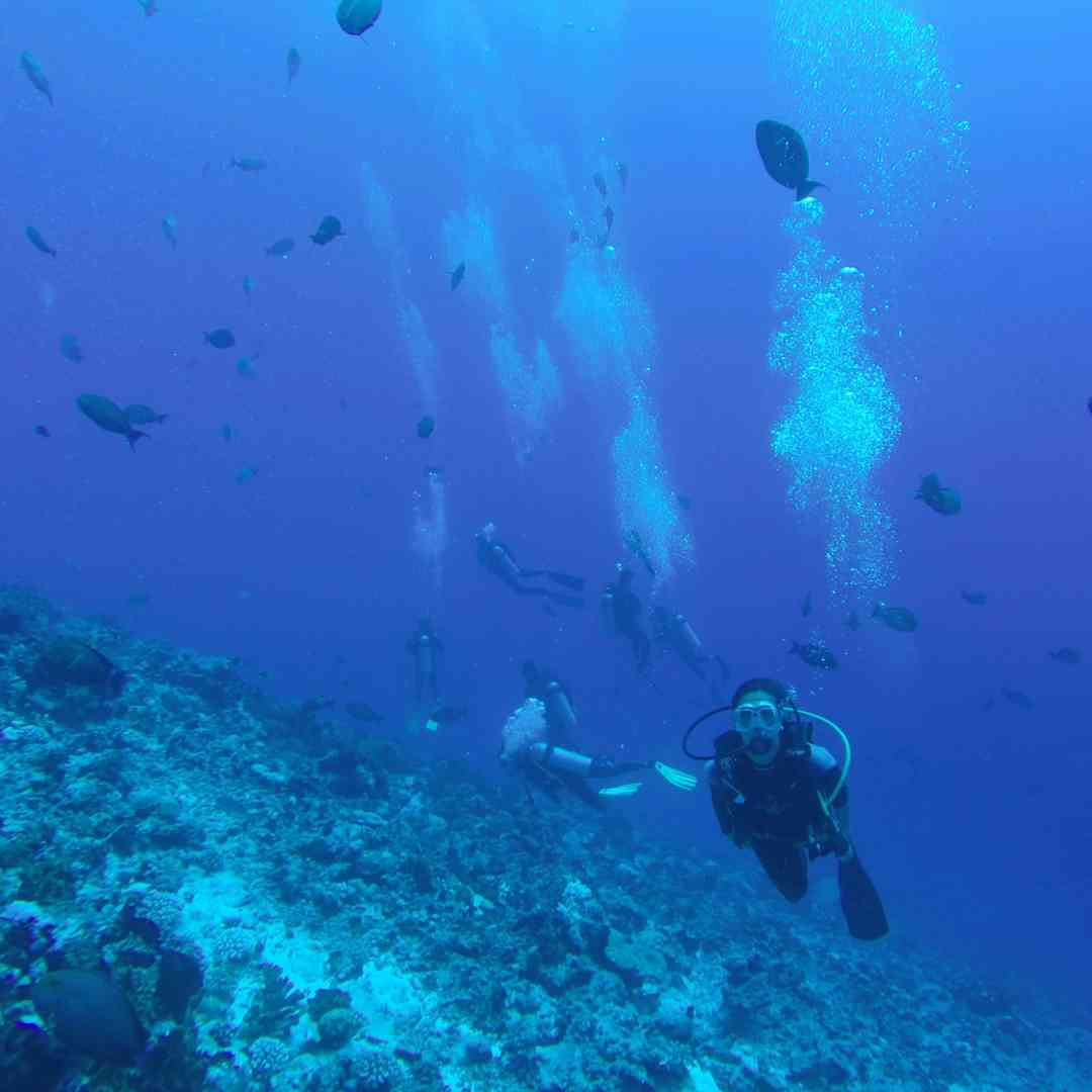 Custom-Travel-Planner-Network-2-SM-Tahiti-Rangiroa-Diving