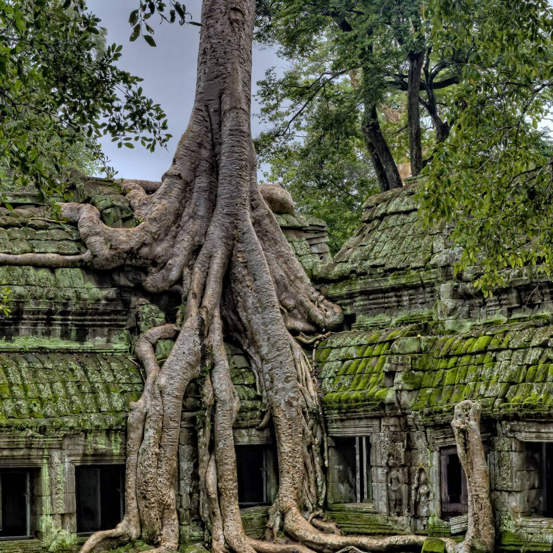 Custom-Travel-Planner-Network-6-SM-Cambodia-Angkor-Wat