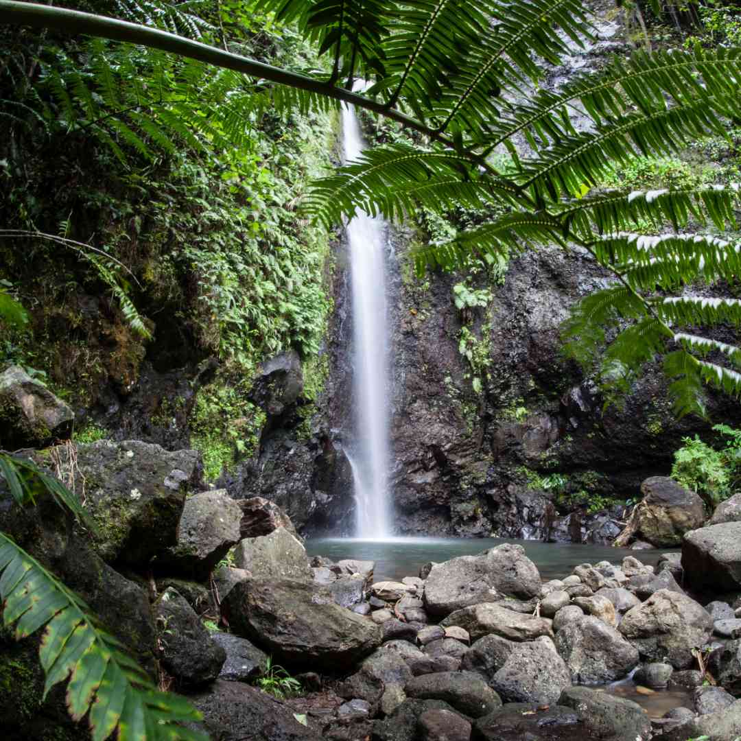 Custom-Travel-Planner-Network-6-SM-Tahiti-Raiatea-Waterfall