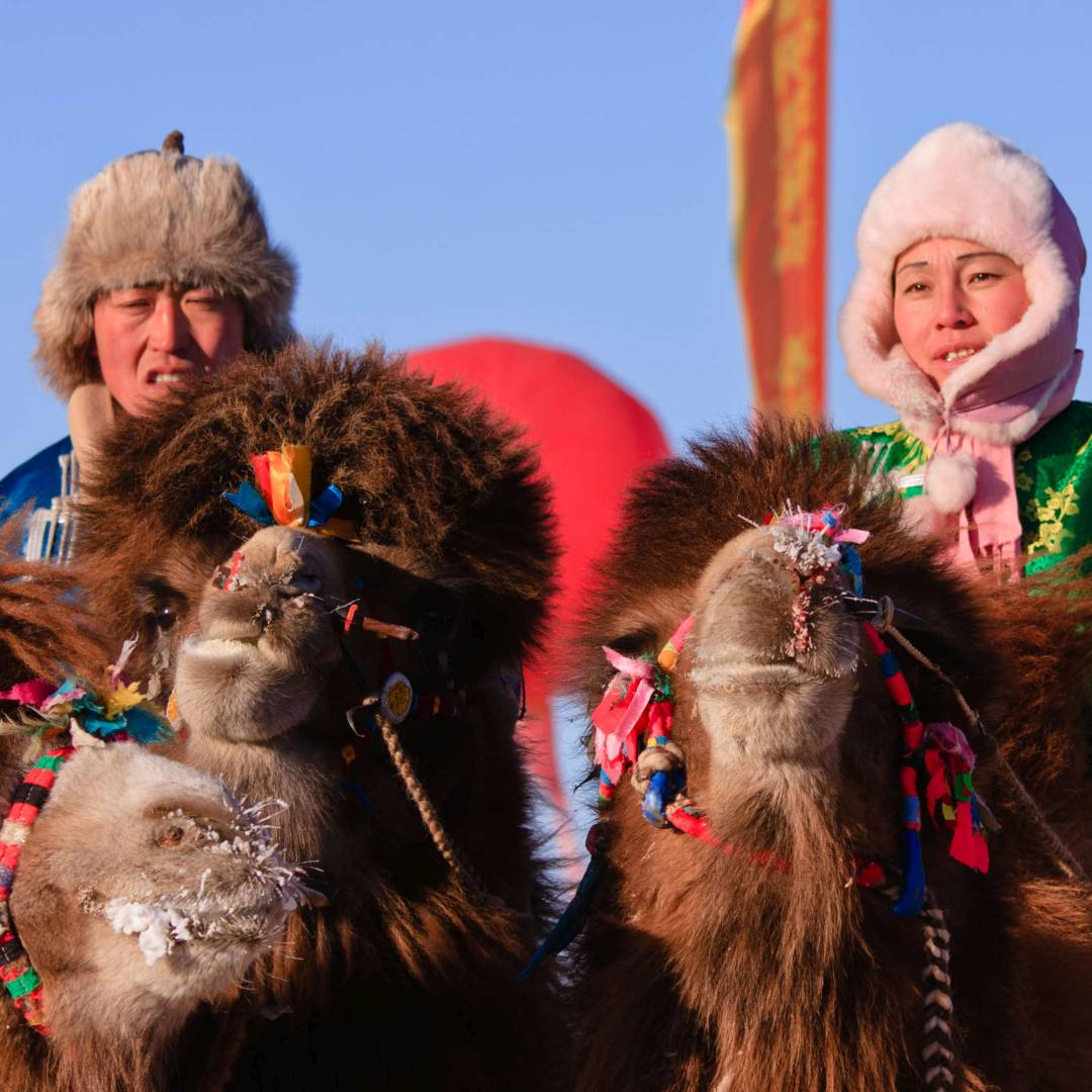 Custom-Travel-Planner-Network-9-Mongolia-Naadam-Camel-Racers