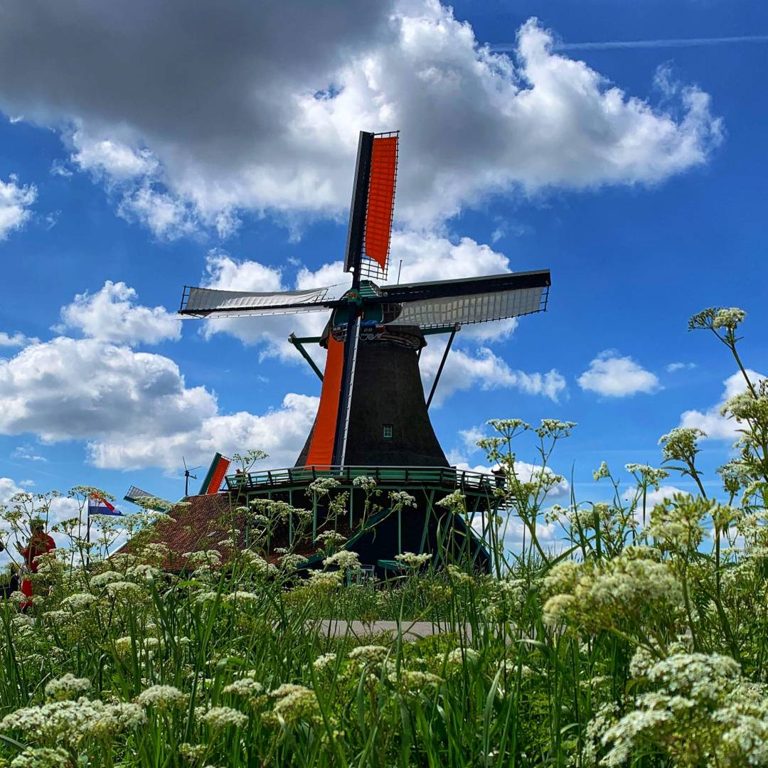 Custom-Travel-Planner-Network-1-Netherlands-Zaandam-Windmill