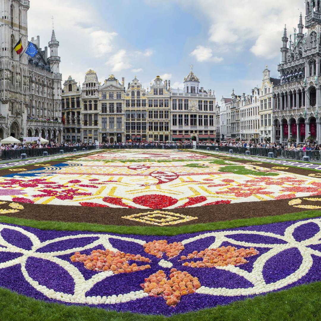 Custom-Travel-Planner-Network-4-SM-Belgium-Carpet-of-Flowers