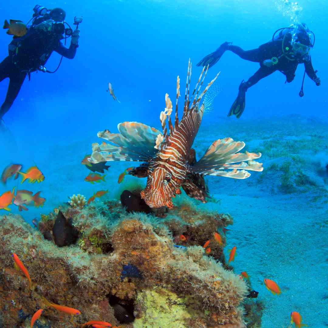 Custom-Travel-Planner-Network-4-SM-Egypt-Red-Sea-Diving