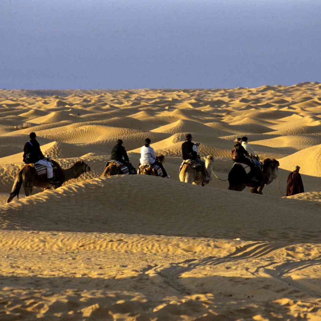 Custom-Travel-Planner-Network-8-SM-Egypt-Camel-Ride