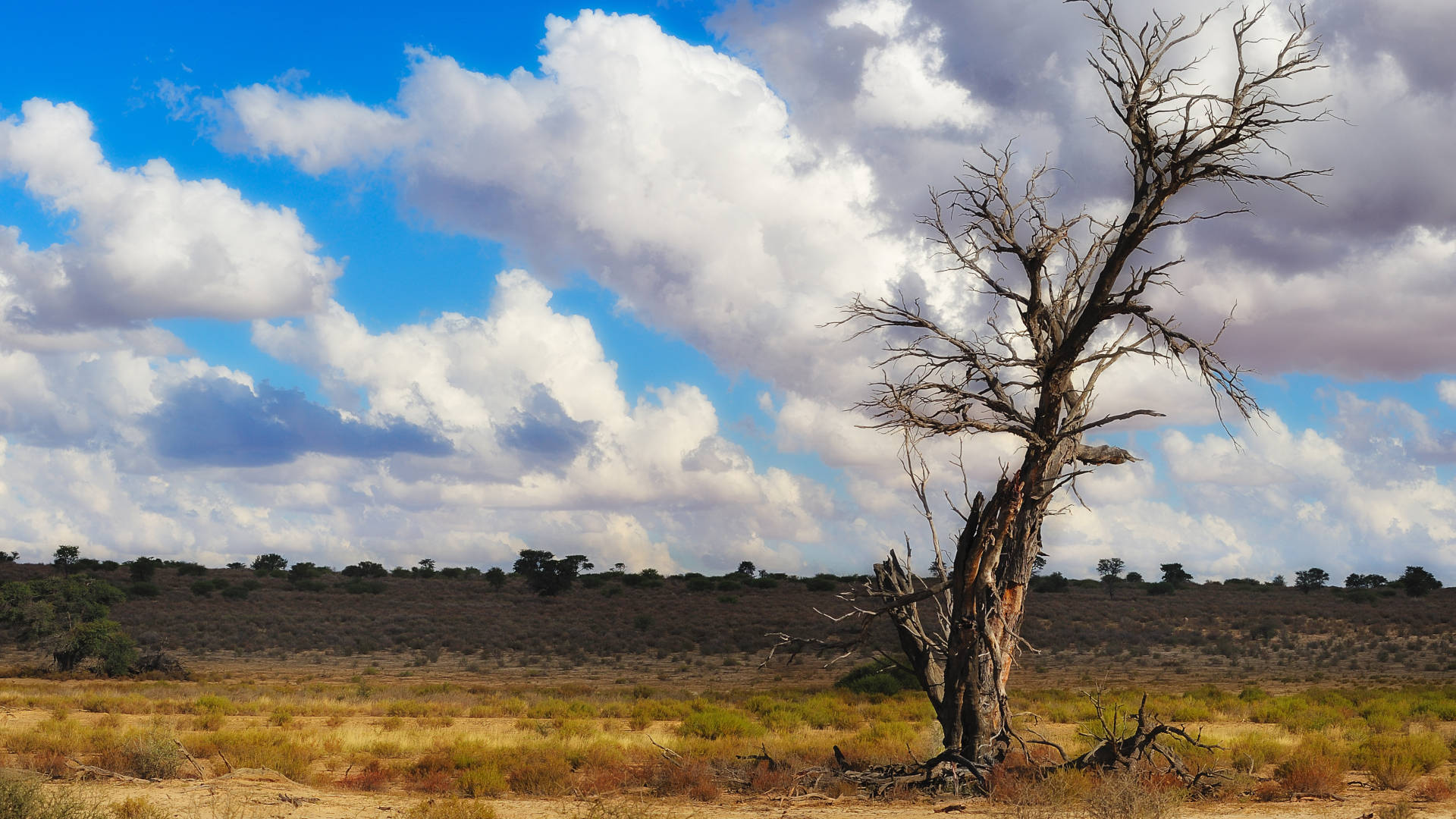 Custom Travel Planner Network-Botswana-Kalahari Desert