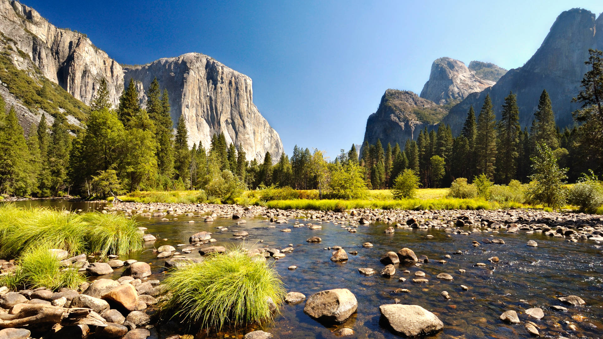 Custom Travel Planner Network-California-Yosemite