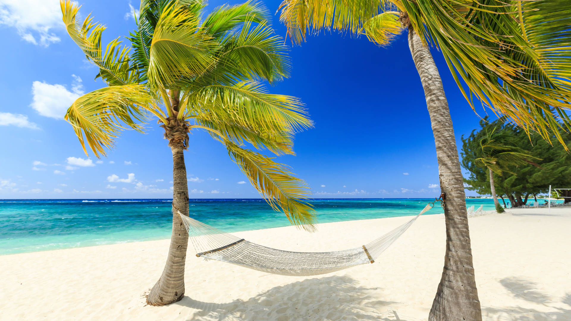 Custom Travel Planner Network-Caribbean-Grand Cayman