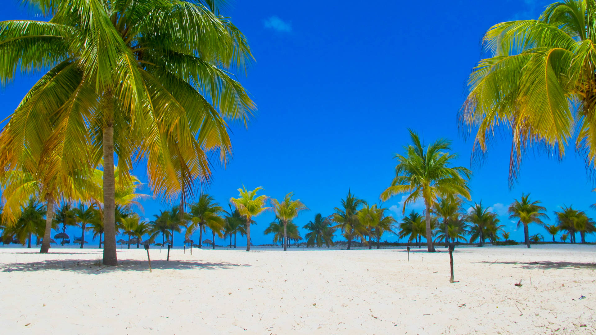 Custom Travel Planner Network-Cuba-Playa Sirena