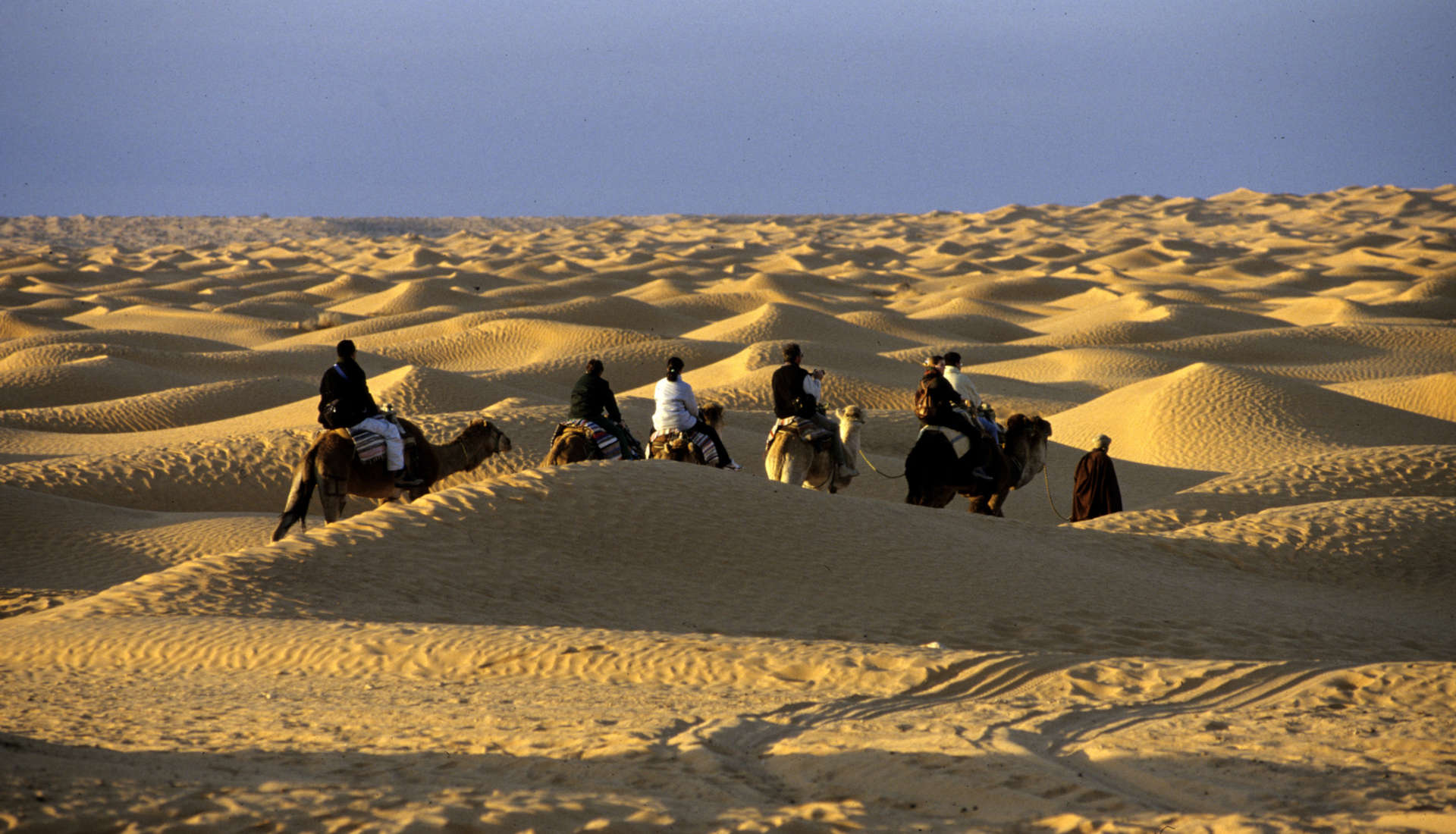 Custom-Travel-Planner-Network-Home5-Egypt-Camel-Ride
