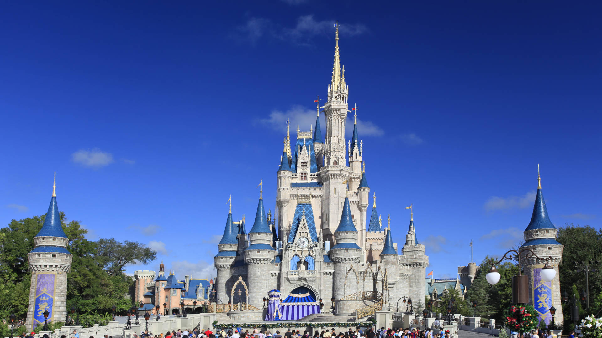 Custom Travel Planner Network-Disney-Magic Kingdom Castle