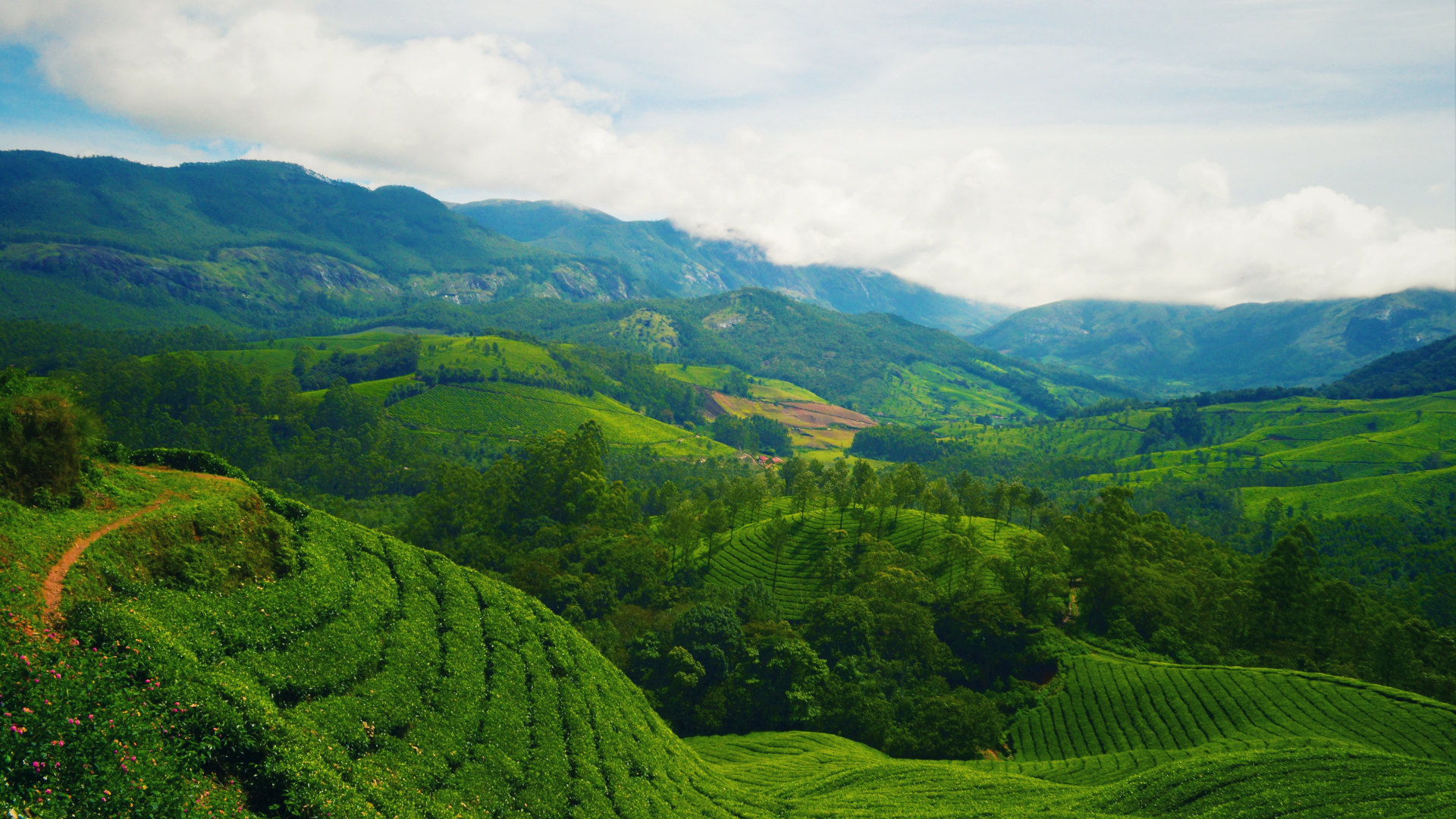 Custom Travel Planner Network-India-Kerala Tea Farms