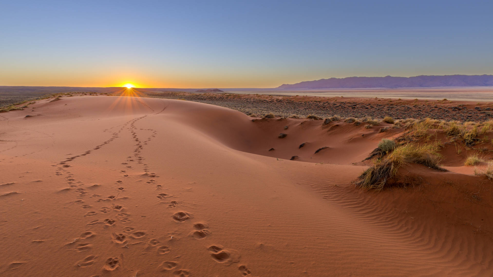 Custom Travel Planner Network-Namibia-Kalahari Sunset