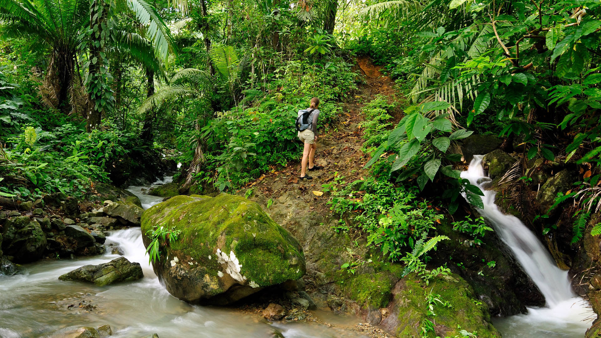 Custom Travel Planner Network-Panama-Darien Jungle