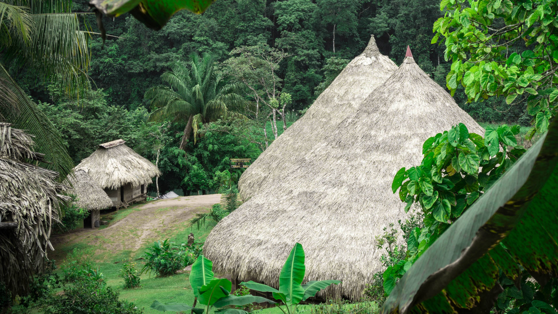 Custom Travel Planner Network-Panama-Embera Village