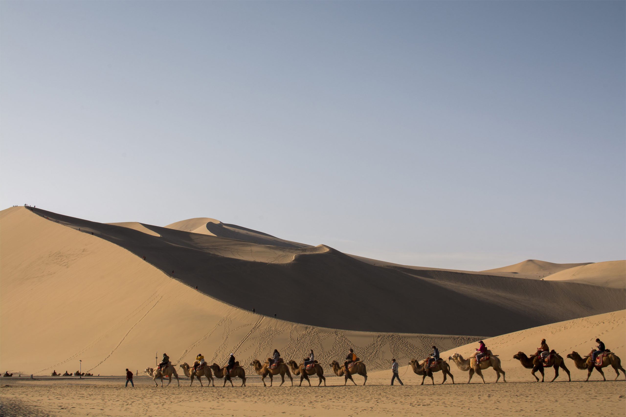 Custom Travel Planner Network-China-Dunhuang Camel Ride