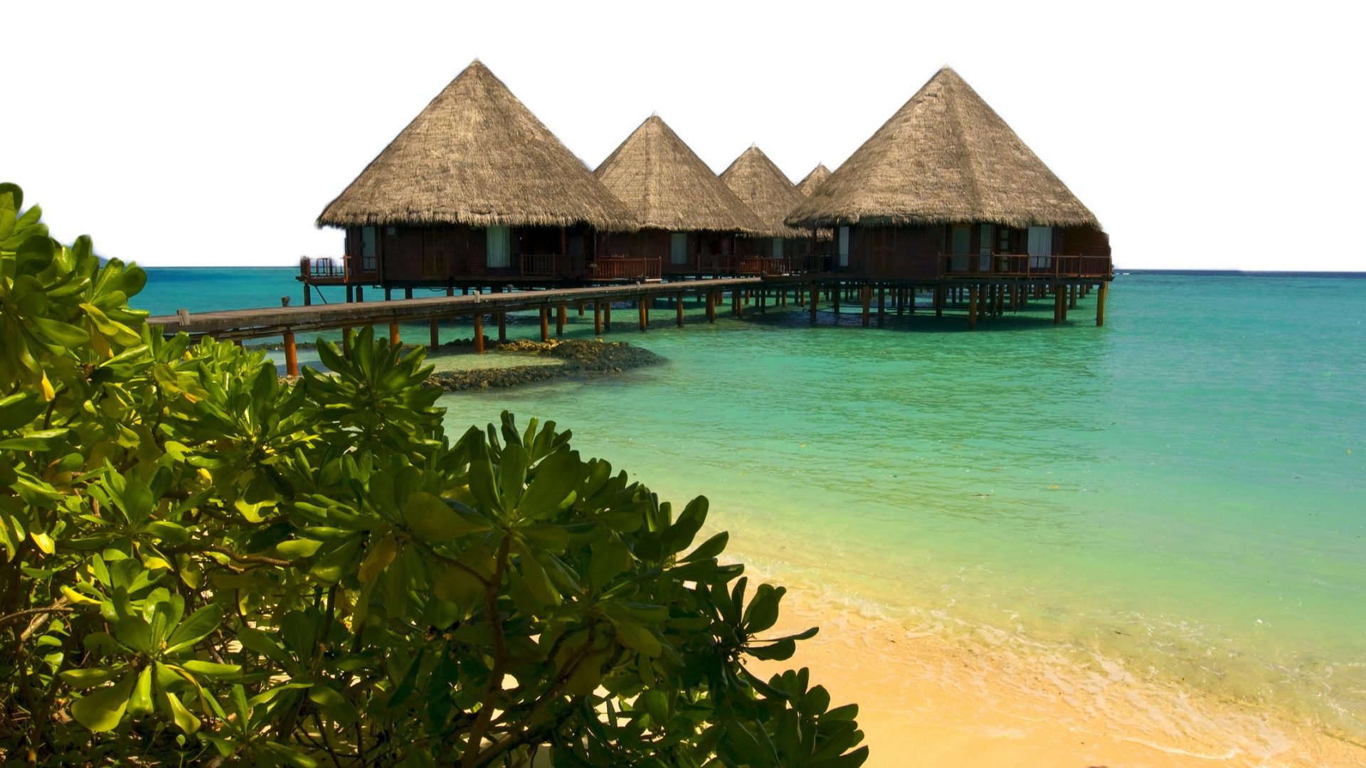 Custom Travel Planner Network-Maldives-BOTTOM