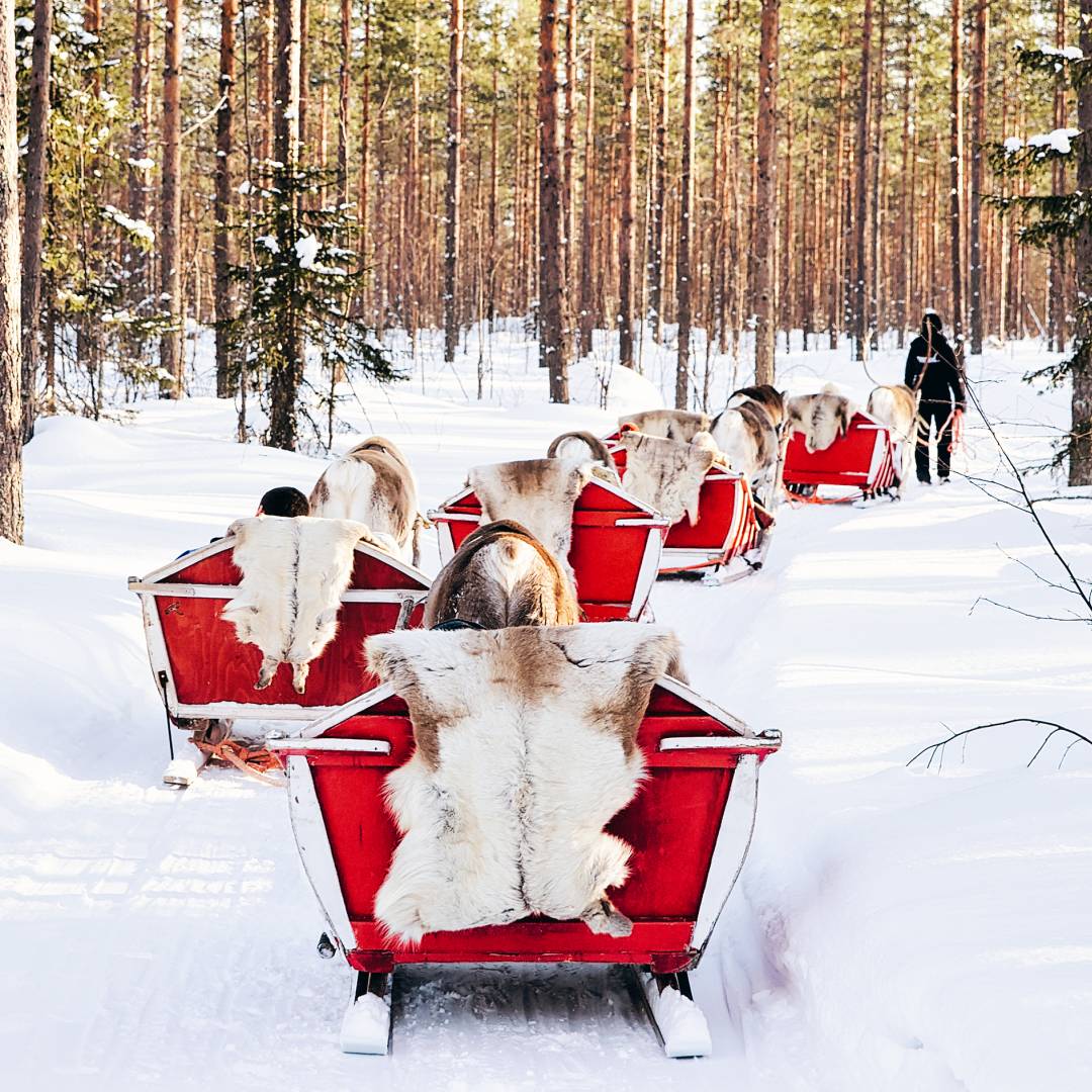 Custom-Travel-Planner-Network-2-SM-Finland-Lapland-Reindeer-Sledge