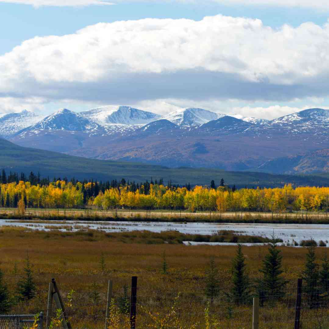 Custom-Travel-Planner-Network-5-SM-Canada-Yukon-Wildlife-Preserve