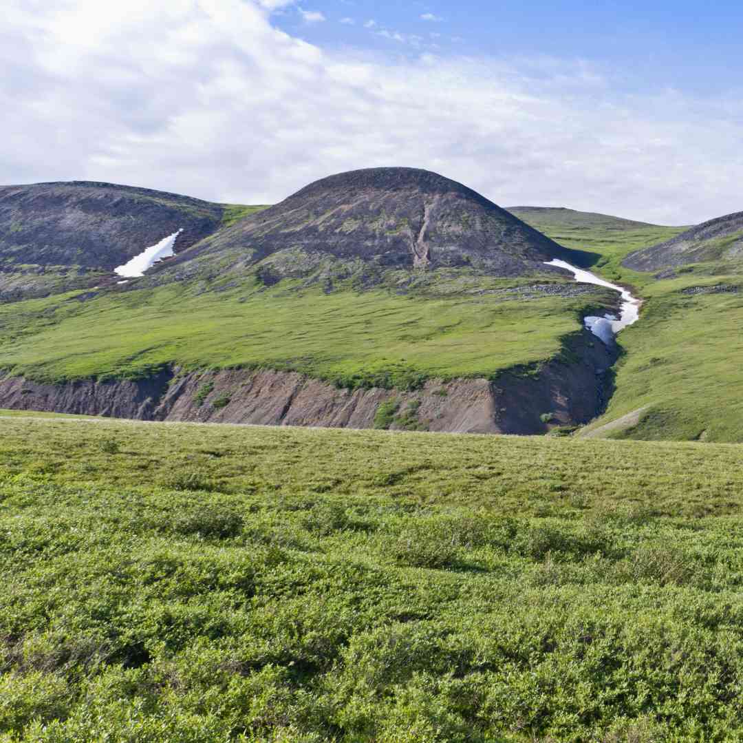 Custom-Travel-Planner-Network-6-SM-Canada-Artic-Tundra-near-Inuvik